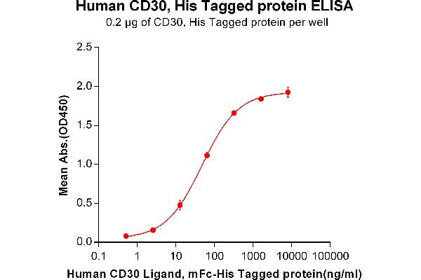 TNFRSF8 Protein (AA 19-379) (His tag)