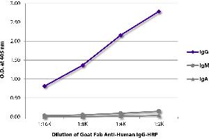 ELISA plate was coated with purified human IgG, IgM, and IgA. (山羊 anti-人 IgG (Heavy Chain) Antibody (HRP))