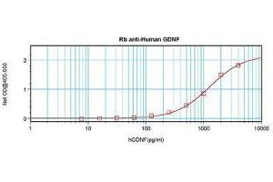 Image no. 1 for anti-Glial Cell Line Derived Neurotrophic Factor (GDNF) antibody (ABIN465722) (GDNF 抗体)