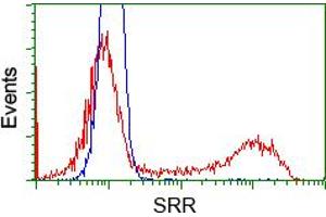 HEK293T cells transfected with either pCMV6-ENTRY SRR (RC210359) (Red) or empty vector control plasmid (Blue) were immunostained with anti-SRR mouse monoclonal (ABIN2453687), and then analyzed by flow cytometry. (SRR 抗体)