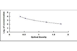 Typical standard curve (Growth Hormone 1 ELISA 试剂盒)