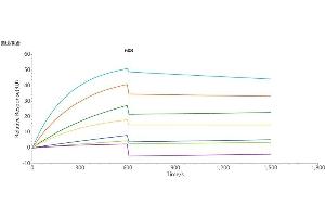 Surface Plasmon Resonance (SPR) image for Chemokine (C-C Motif) Receptor 8 (CCR8) protein (ABIN7491570)