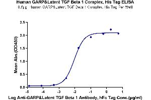 ELISA image for GARP & Latent TGF beta 1 Complex (AA 20-628) protein (His-Avi Tag) (ABIN7274705)