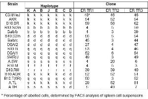 Distribution of ER-TR1, ER-TR2 and ER-TR3 among mouse strains with independent and recombinant haplotypes* (MHC Class II (I-A K,s,r) 抗体)