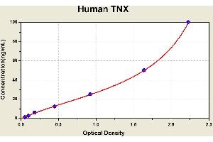 Diagramm of the ELISA kit to detect Human TNXwith the optical density on the x-axis and the concentration on the y-axis. (TNXB ELISA 试剂盒)