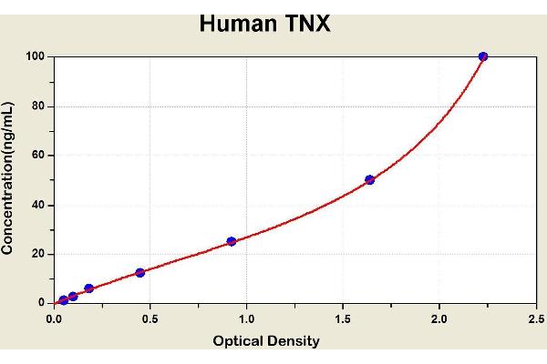 TNXB ELISA 试剂盒