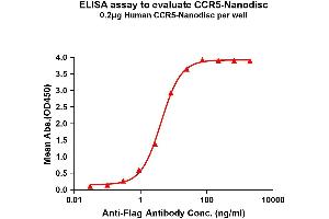 Elisa plates were pre-coated with Flag Tag -Nanodisc (0. (CCR5 蛋白)