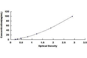 Typical standard curve (Arginine ELISA 试剂盒)