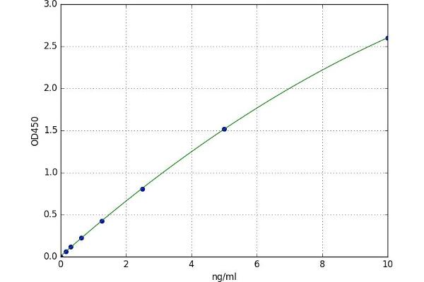 CAMK2D ELISA 试剂盒