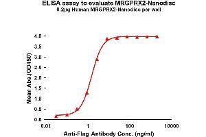 Elisa plates were pre-coated with Flag Tag MRG-Nanodisc (0. (MRGPRX2 蛋白)