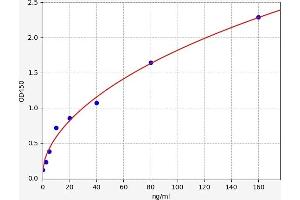 Typical standard curve (Clusterin ELISA 试剂盒)