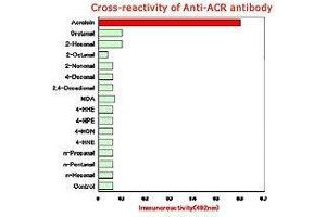 Cross-reactivity of anti-ACR antibody. (ACR-Modified Keyhole-Lympet Hemocyanine 抗体)