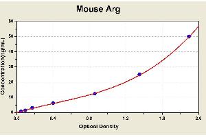 Diagramm of the ELISA kit to detect Mouse Argwith the optical density on the x-axis and the concentration on the y-axis. (Liver Arginase ELISA 试剂盒)