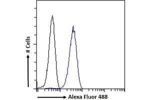 Flow Cytometry (FACS) image for anti-Histamine Receptor H2 (HRH2) (C-Term) antibody (ABIN185463)