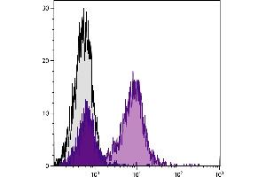 C57BL/6 mouse splenocytes were stained with Hamster Anti-Mouse CD79b-PE. (CD79b 抗体  (PE))