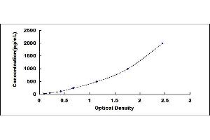 ELISA image for Matrix Metallopeptidase 13 (Collagenase 3) (MMP13) ELISA Kit (ABIN4947850) (MMP13 ELISA 试剂盒)