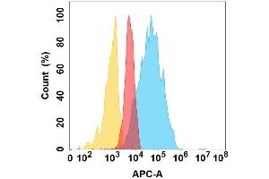 TSLP protein is highly expressed on the surface of Expi293 cell membrane. (Thymic Stromal Lymphopoietin 抗体)