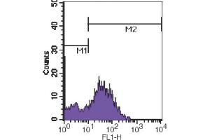 Flow Cytometry (FACS) image for anti-CD7 (CD7) antibody (FITC) (ABIN2144471) (CD7 抗体  (FITC))