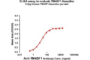 Elisa plates were pre-coated with Flag Tag TM4SF1-Nanodisc (0. (TM4SF1 蛋白)