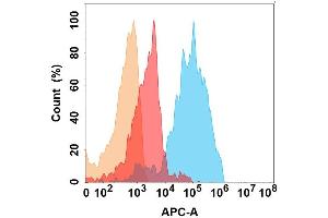 IL11RA protein is highly expressed on the surface of Expi293 cell membrane. (IL11RA 抗体)