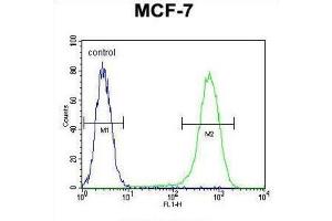 Flow Cytometry (FACS) image for anti-Nudix Hydrolase 8 (NUDT8) antibody (ABIN2995714) (NUDT8 抗体)