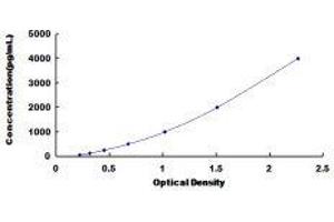 ELISA image for Toll-Like Receptor 3 (TLR3) ELISA Kit (ABIN6720574)