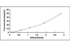 ELISA image for IgG ELISA Kit (ABIN1874228) (IgG ELISA 试剂盒)