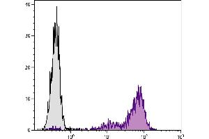 C57BL/6 mouse cytotoxic T lymphocyte cell line CTLL-2 was stained with Rat Anti-Mouse CD25-BIOT. (CD25 抗体  (Biotin))