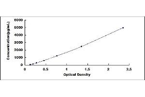 Typical standard curve (ABCA4 ELISA 试剂盒)