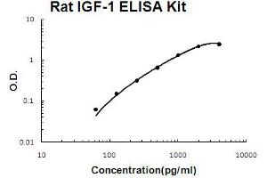 ELISA image for Insulin-Like Growth Factor 1 (IGF1) ELISA Kit (ABIN6720285)