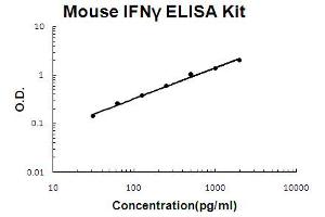 ELISA image for Interferon gamma (IFNG) ELISA Kit (ABIN6719684)