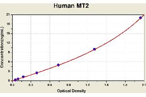 Diagramm of the ELISA kit to detect Human MT2with the optical density on the x-axis and the concentration on the y-axis. (MT2 ELISA 试剂盒)