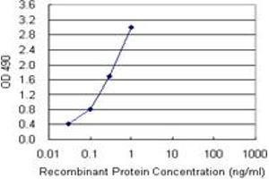 Sandwich ELISA detection sensitivity ranging from 0. (CD28 (人) Matched Antibody Pair)