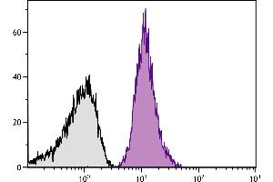 Human peripheral blood platelets were stained with Mouse Anti-Human CD42b-PE. (CD42b 抗体  (FITC))