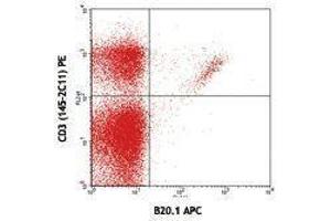 Flow Cytometry (FACS) image for anti-V alpha 2 TCR antibody (APC) (ABIN2658831) (V alpha 2 TCR 抗体 (APC))