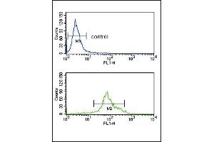 Flow cytometry analysis of K562 cells (bottom histogram) compared to a negative control cell (top histogram). (HSD17B3 抗体  (AA 89-118))