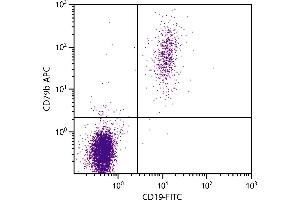 Human peripheral blood lymphocytes were stained with Mouse Anti-Human CD79b-APC. (CD79b 抗体  (FITC))