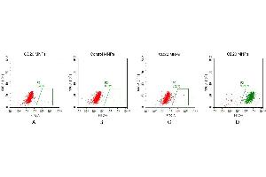 FACS analysis of CD20 MNPs A. (CD20 蛋白)