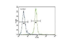 AKT1 Antibody (N-term) h flow cytometric analysis of MDA-M cells (right histogram) compared to a negative control cell (left histogram). (AKT1 抗体  (N-Term))