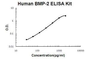 Human BMP-2 PicoKine ELISA Kit standard curve (BMP2 ELISA 试剂盒)