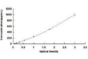 ELISA image for Activin A (ACVA) ELISA Kit (ABIN414347) (ACVA ELISA 试剂盒)