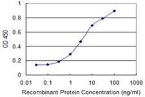 Detection limit for recombinant GST tagged IL4R is 0. (IL4 Receptor 抗体  (AA 26-135))