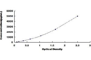 Typical Standard Curve (CCL22 ELISA 试剂盒)