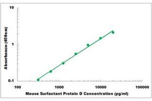 Representative Standard Curve (SFTPD ELISA 试剂盒)