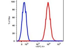 Flow Cytometry (FACS) image for anti-CD90 (THY1) antibody (APC) (ABIN2704360) (CD90 抗体  (APC))