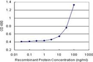 Sandwich ELISA detection sensitivity ranging from 3 ng/mL to 100 ng/mL. (IRF3 (人) Matched Antibody Pair)