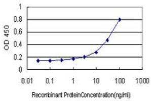 Detection limit for recombinant GST tagged RASA3 is approximately 0. (RASA3 抗体  (AA 725-834))