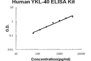 Human Chitinase 3-like 1/YKL-40 PicoKine ELISA Kit standard curve (CHI3L1 ELISA 试剂盒)