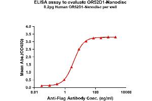 Elisa plates were pre-coated with Flag Tag OR52D1-Nanodisc (0. (OR52D1 蛋白)