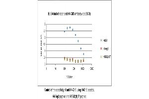 Image no. 1 for anti-Histone H4 (ciArg3), (N-Term) antibody (ABIN347793) (Histone H4 抗体  (ciArg3, N-Term))